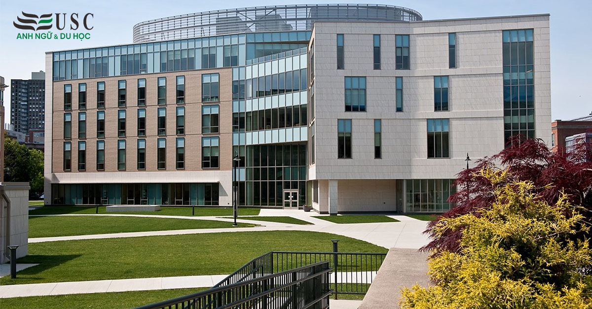 Simmons University — Trái Tim Của Thành Phố Boston, Cốt Lõi Của Những Nữ Lãnh Đạo Tương Lai