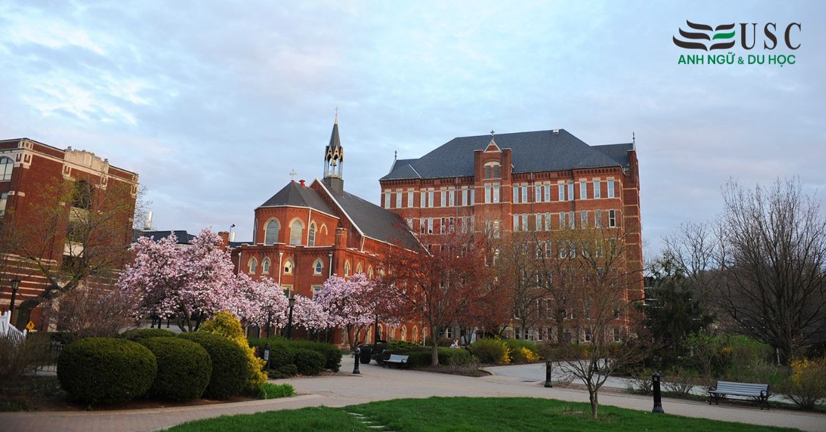 Duquesne University