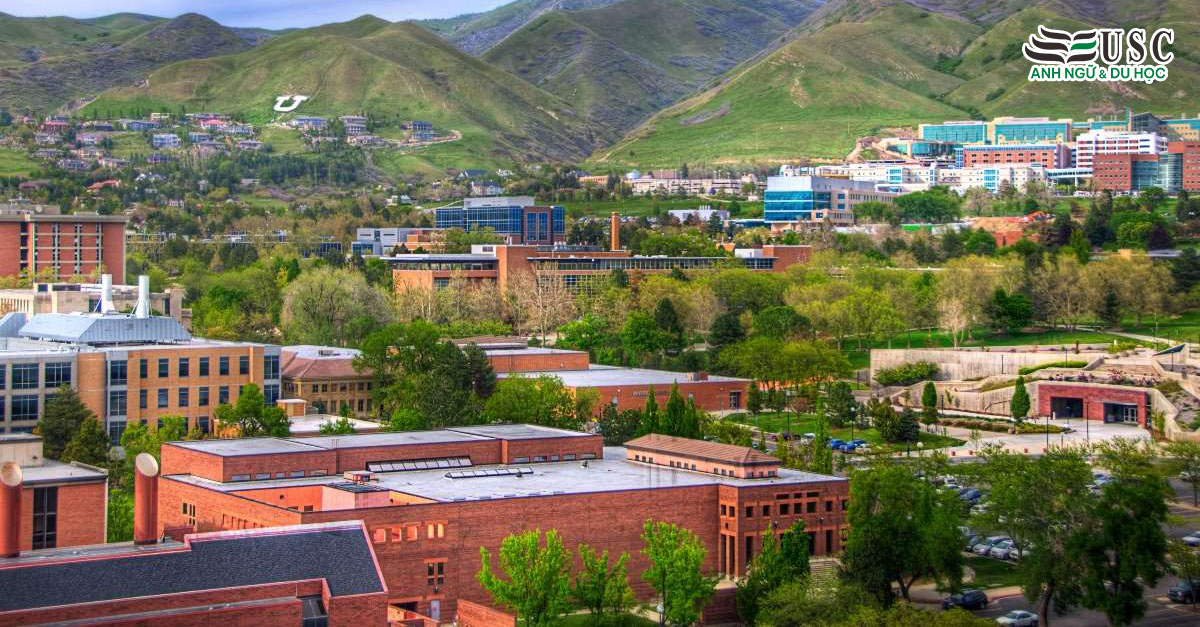 University of Utah