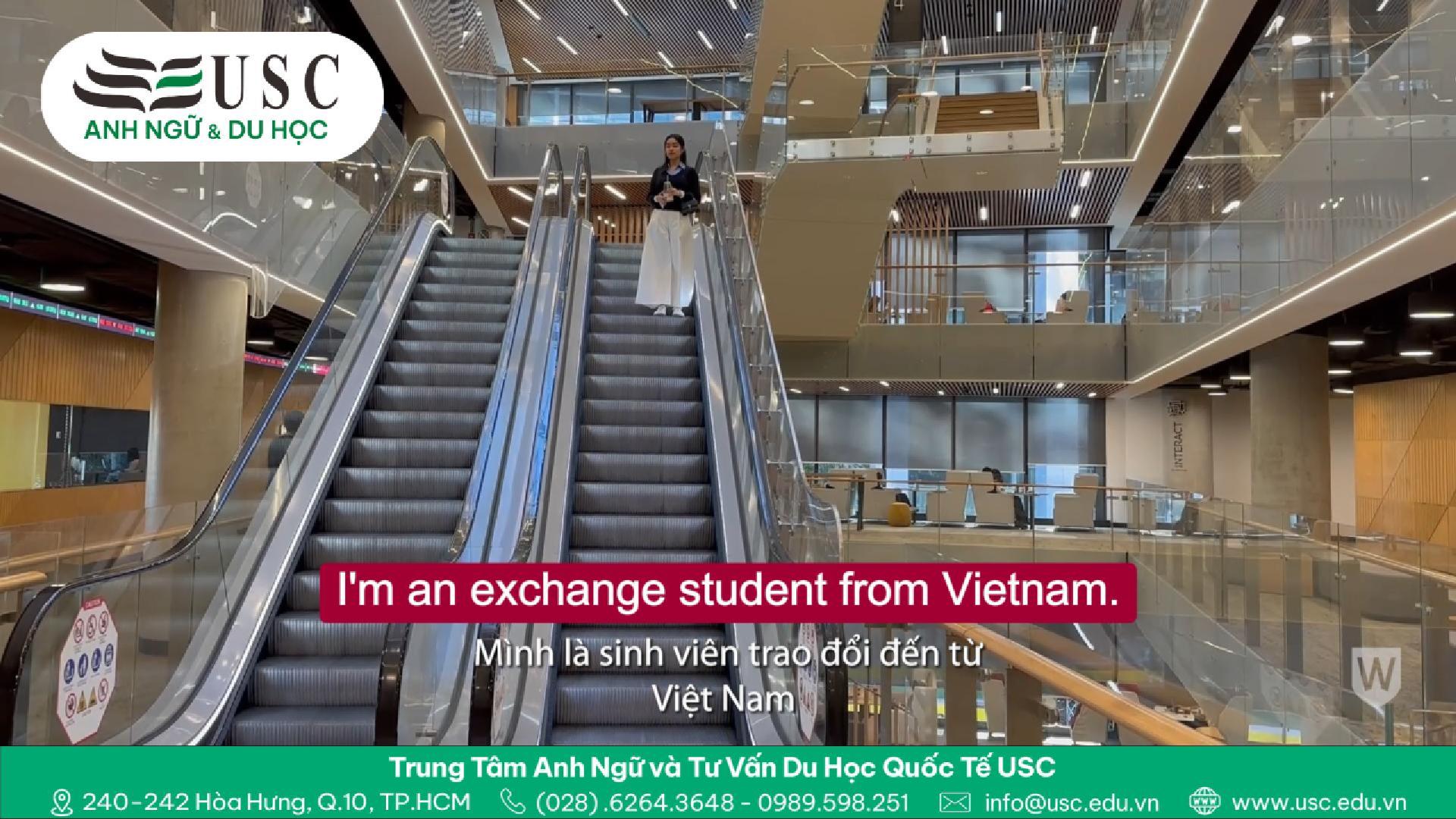 Lắng nghe chia sẻ của bạn Celine - ngành Business, về những hỗ trợ từ trường Western Sydney University, và để USC hỗ trợ bạn nộp hồ sơ xin học bổng 50% cho ngành Kinh Doanh tại trường nhé